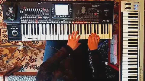 Korg Pa3X armen