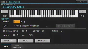 Deleting Multisamples Including Samples KORG Pa