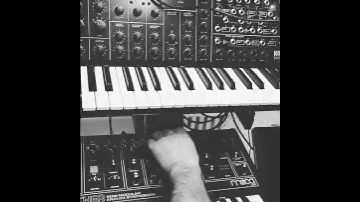 Korg ms20 Fs +Moog Grandmother sequence