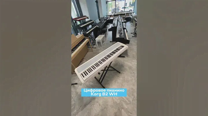 Цифровое пианино Korg B2 WH | vismedia.ru