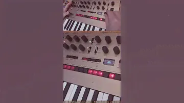 Korg Monologue Classic Synths Patches & Samples