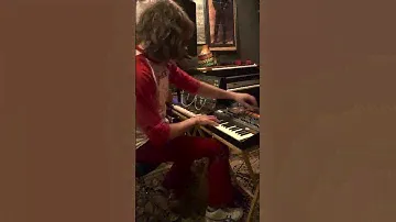 Neal Francis Synth Performance on KORG ARP2600m & ARP Odyssey