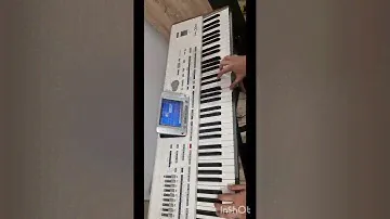 Set Manual korg pa2 256