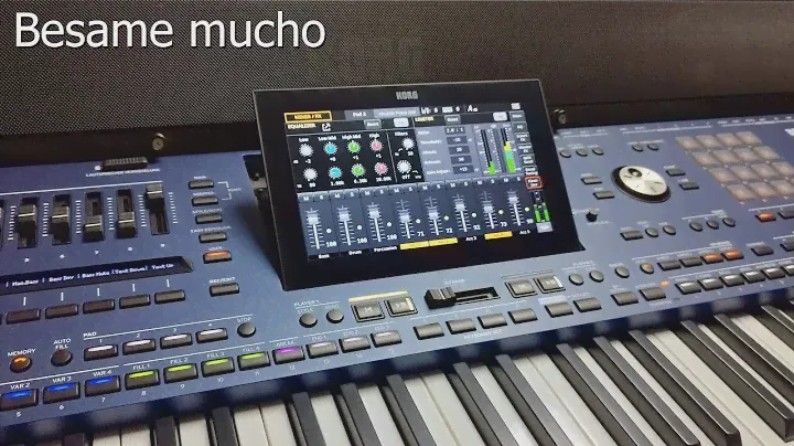 KORG Pa5X Musikant - Voyage Voyage (Desireless) - cover, style from KorgPa.eu (WiMeX)