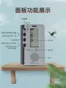 KORG VPT-1 человеческий голосовой тюнер, интонация, прицел, обучение вокалу, тренировка ушей, pentatonic, настройка тона, стол (art.: 3920ba69b877c)