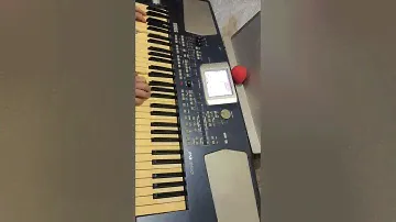 Гимн СССР на синтезаторе KORG PA500