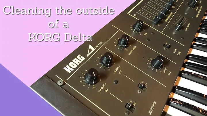 KORG Delta DL-50 Cleaning Session