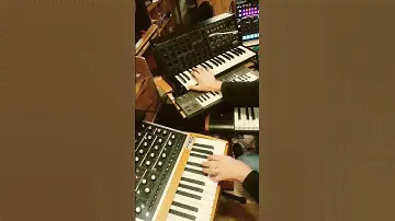 korg ms20 bass for free..