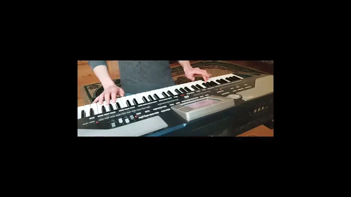belalim  korg pa 800 seymur