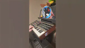 Korg MicroKorg synthesizer: "Is this bowed glass?"