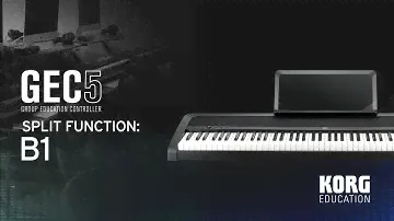 Korg B1 & B1SP – Split Functionality for the GEC5 System