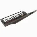 Korg RK-100S 2 черный Korg RK-100S 2 Black