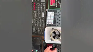 Polyend tracker Korg modwave Roland tb3 circuit rhythm Korg minilogue bass