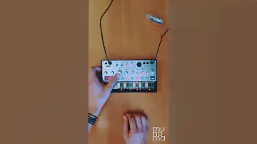 Eurythmics - Sweet Dreams (Are Made of This) | Volca Bass #synthmusic #korg #volcabass