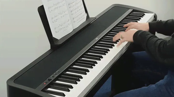 KORG "B1SP" DIGITAL PIANO デモ [日本語公式]