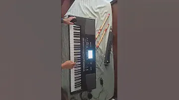 Pa300