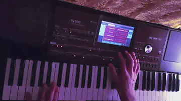 C.C.Catch - Are You Man Enough STYLE KORG PA700 PA1000 PA4X