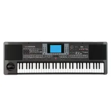 Аранжор-синтезатор Korg microARRANGER MAR1 Professional Arranger