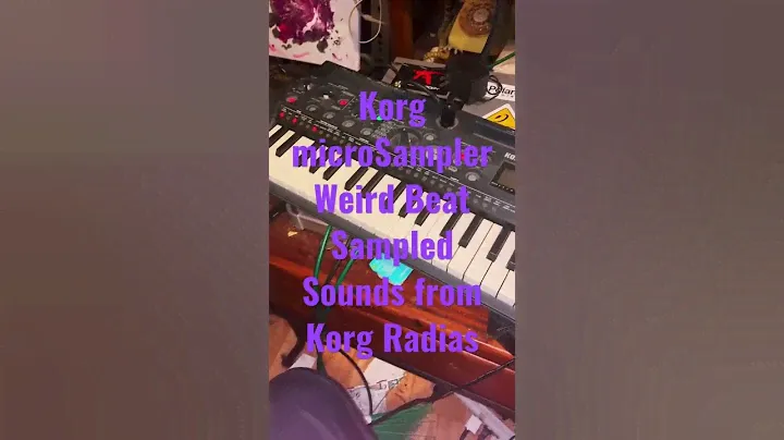 Korg microSampler Weird Beat Sampled Sounds from Korg Radias
