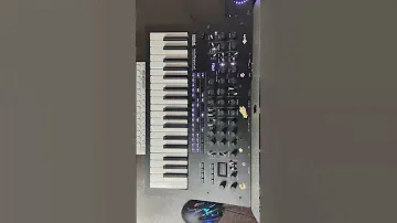 Korg Minilogue XD from my dream😴 #minilogue #miniloguexd #synth