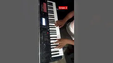 Korg Kross 2 | Aakh Hai Bhari Bhari | Raushan Music Keyboard