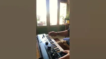 Keyboard solo 🎹.                 #livelooping #microkorg #keyboardsolo #looping #loop
