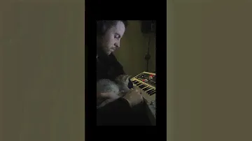 MICROKORG & MICROCOSM SESSION + SINGAPURA CAT