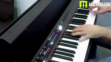 Korg LP-380