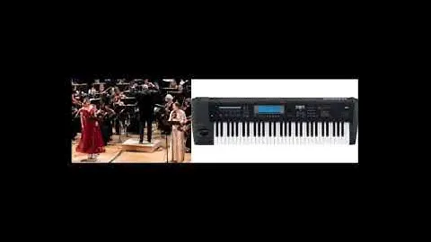 Александр Кобяков Diva Korg tr61