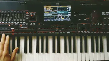 Danekoo1 - New Euro Disco Style Collection 2024 (Korg Pa4x )