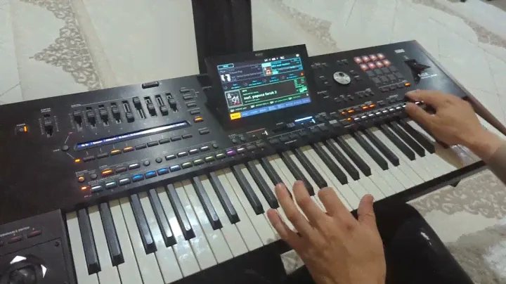 Phaser  Sejko Pasovski still Korg pa5x