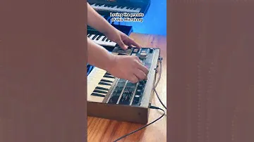 Exploring the Korg Microkorg 🫶🏼 #synthesizer #synth #juno106 #moog #nord #korg #prophet