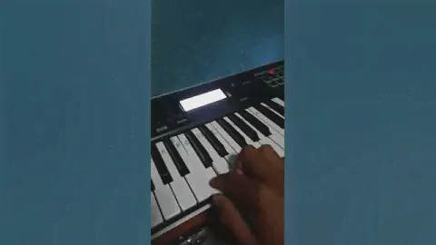 korg kross 2 accordian