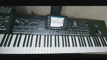 25 - этаж , Korg Pa3X