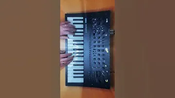 February… go away (Korg Minilogue XD) #miniloguexd #minilogue #synth #korg