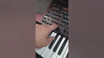 NEW ARCAH STYLE KORG PA1000/PA700/PA4X