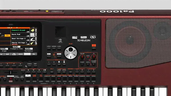Korg PA1000 Профессиональная аранжировочная станция-3