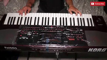 KORG PA 1000 Мальчишник ночь