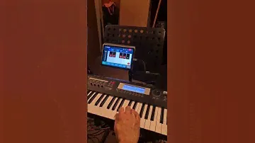 KORG TR | 🎹 Scale MicroTuning | 🎶 Tashreeq - تشريق الاورغ  | 🎛️ SoloScaleController #PitchControl