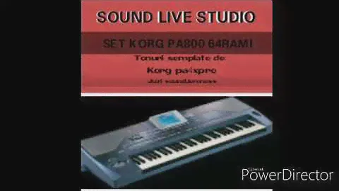 SET KORG PA 800 ,,64 rami"