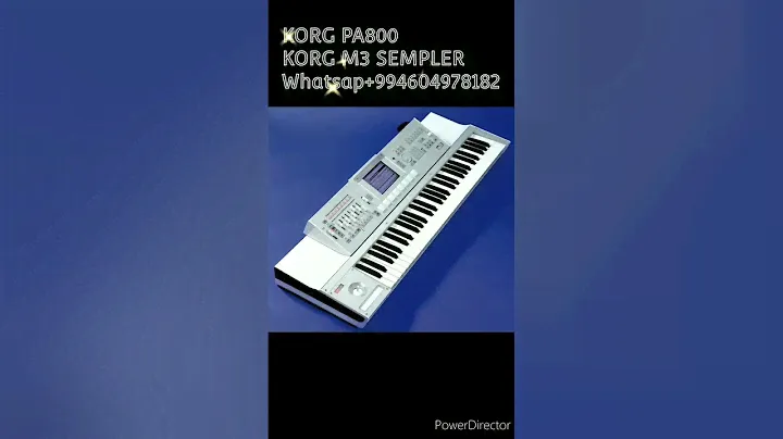 #korg #pa800 #m3 #semple