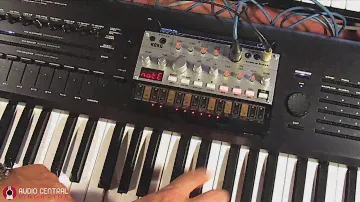 KORG Volca Bass as Synth Expander