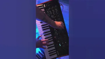 Analog synthesizer Korg prologue 8 #synth #synthlover #synthlife #synthmusic #analogsynth