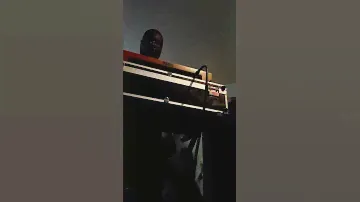 Korg Monologue Gold...Boo'd Up