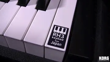 KORG D1: Portable Digital Piano
