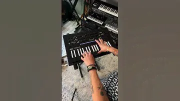 Mini Sound Demo: Sharp Fifth Preset on minilogue xd Inverted