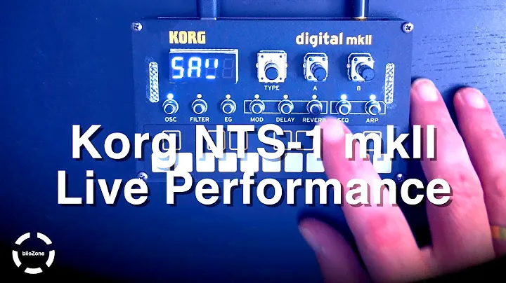 Korg NTS-1 mkII Live Performance