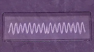 Korg Monologue Patches by BoB SwanS