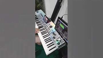 Behringer flow8 feat korg pa4x on perform