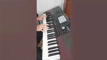 Korg pa 1000 gaúcha 🪗